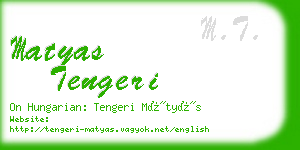 matyas tengeri business card